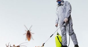 شركة مكافحة حشرات بالداير